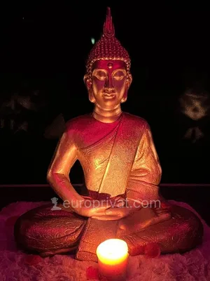 Erotické masáže Pardubice - sex, erotické masáže - Pardubice